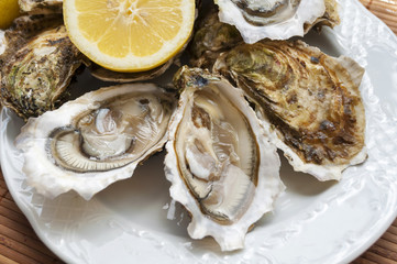 oysters