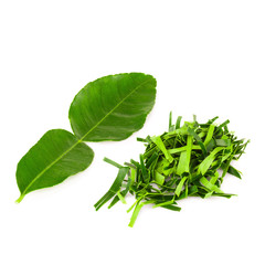 Kaffir lime leaves on white background