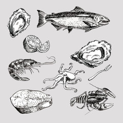 sea food vintage graphic illustration