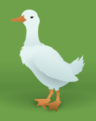 Farm animal design.