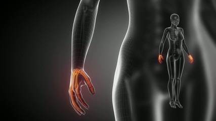 WRIST bone skeleton x-ray scan in black