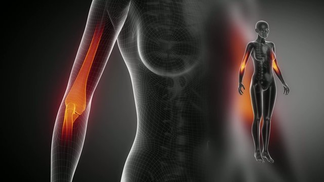 ELBOW joint skeleton x-ray scan in black