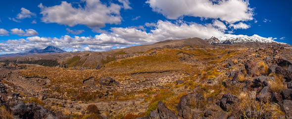 Fototapeta na wymiar Panorama of Tongariro