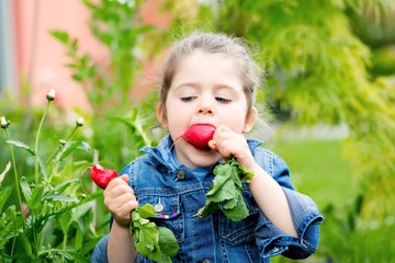 Close up portrait of a child eating in the garden radisches