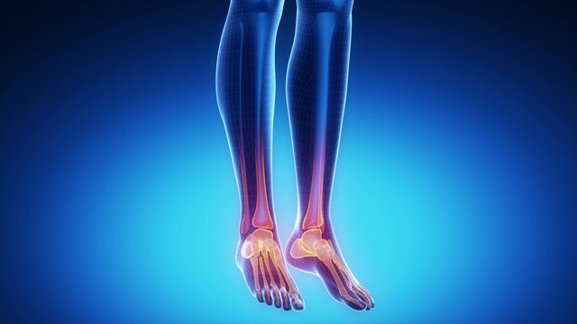 ANKLE joint skeleton x-ray scan in blue