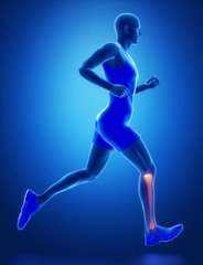 Fototapeta na wymiar TIBIA - running man leg scan in blue
