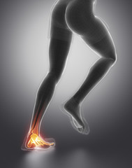 Focused on ankle joint