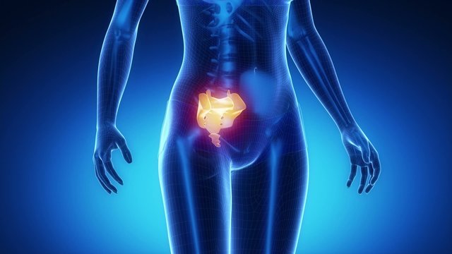 SACRUM bone skeleton x-ray scan in blue