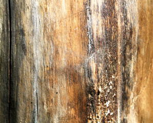 wood texture