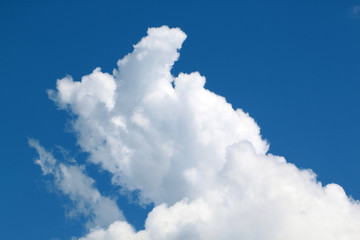 Naklejka na ściany i meble A large white cloud