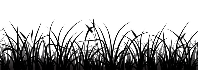 Seamless grass silhouette on white, vector illustration