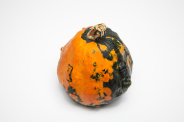 halloween kürbis