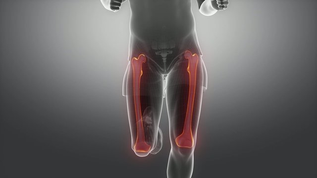 Running man  FEMUR scan in loop