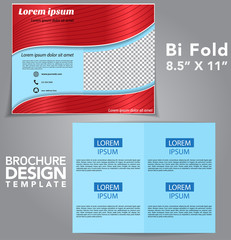 Bi Fold Brochure Vector Design