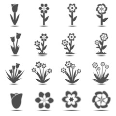 flowers icon
