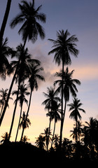 Naklejka premium morning landscape