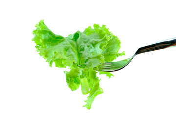lettuce with vegetarian concept