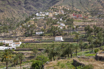 Fototapeta na wymiar Typisches Dorf auf La Gomera, Spanien