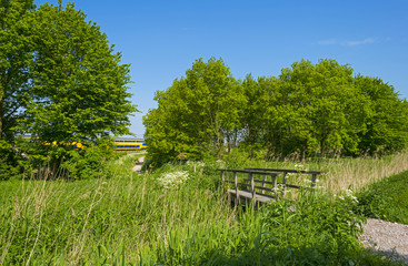 Footpath over a wooden bridge in spring