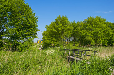 Footpath over a wooden bridge in spring