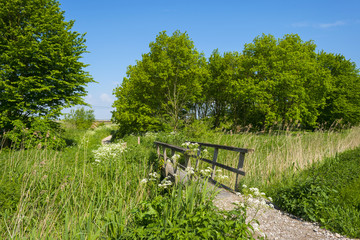 Footpath over a wooden bridge in spring