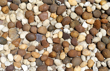 The texture of the pebbles