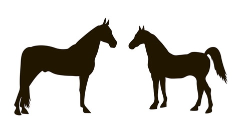 silhouettes of horses standing