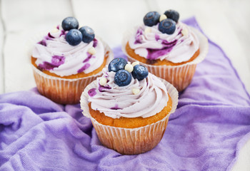 Set of tasty blueberry cupcakes