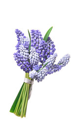 bouquet of flowers Muscari - 83724123