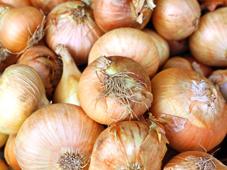 texture of onions photographed close up