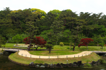 Plakaty  Japoński ogród