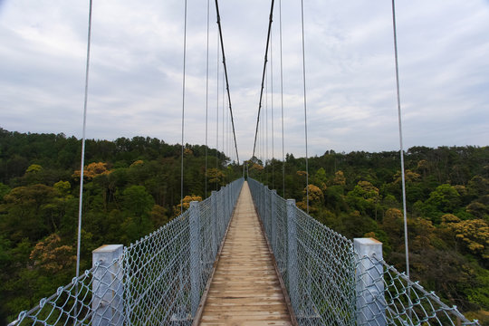 Suspension bridge over nature scene