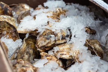 Fresh oysters packed in shaved ice.