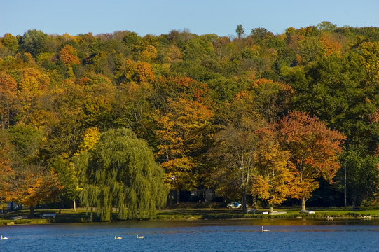 Scenic Fall Landscape In The Carmel  NY .