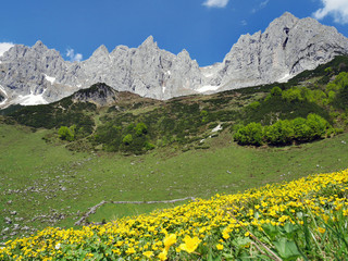 Bergparadies Wilder Kaiser - Mountrains in Tyrol