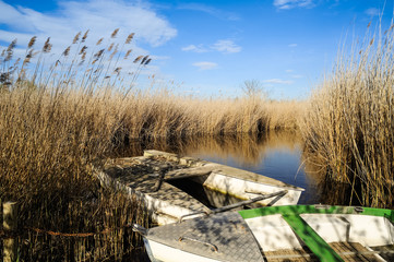 Fototapeta premium Alte Boote im Schilf am See