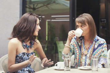 Obraz na płótnie Canvas Two girlfriends gossiping in cafe