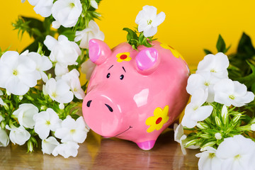Piggy coin bank on yellow background 
