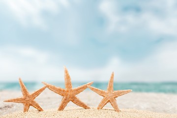 Fototapeta na wymiar Beach, starfish, coco.