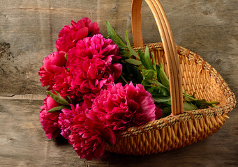 bouquet of burgundy peonies in the wicker basket