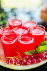 Set of glasses with alcohol cocktail with cranberry juice on a table in a restaurant with a creative composition of ice watermelon and fresh cranberries. soft focus