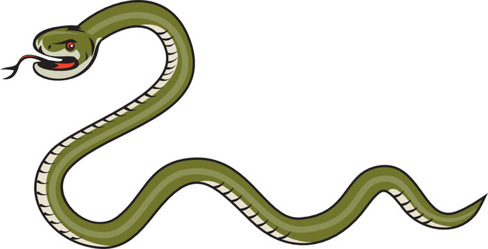 Serpent Coiling Side Isolated Cartoon