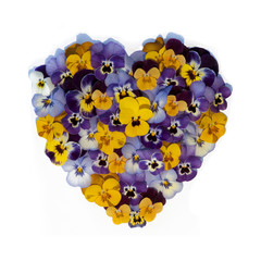 mixed pansies in heart shape on white background
