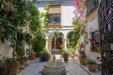 Fototapeta na wymiar typical Andalusian courtyard decorated with flowers in the city