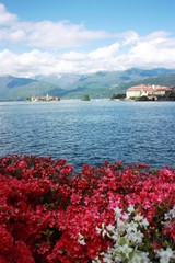 Isola Bella, Isola Pescatori - Stresa Waterfront blooming 