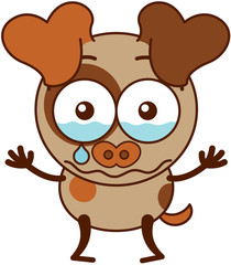 Little brown dog feeling sad and crying