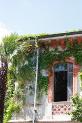 Fototapeta premium ruin from turn of the century wild and overgrown