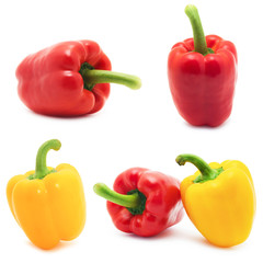  bell peppers 
