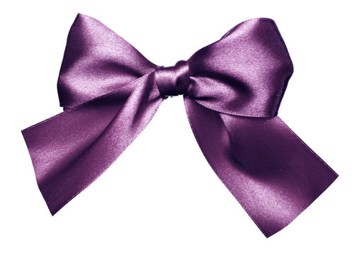 Purple Bow Made From Silk