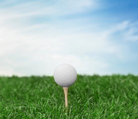 Golf, Golf Ball, Golf Course.